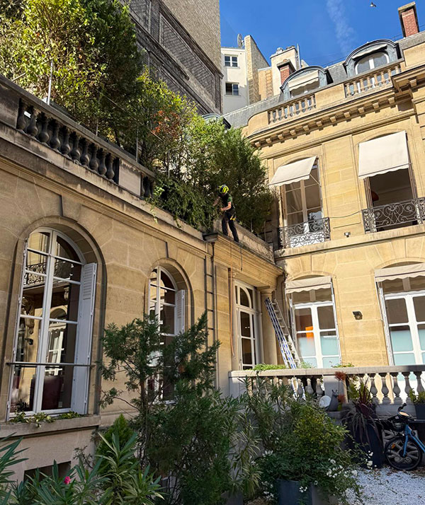 Contrat d’entretien d’espaces verts pour hôtels et restaurants à Paris 8
