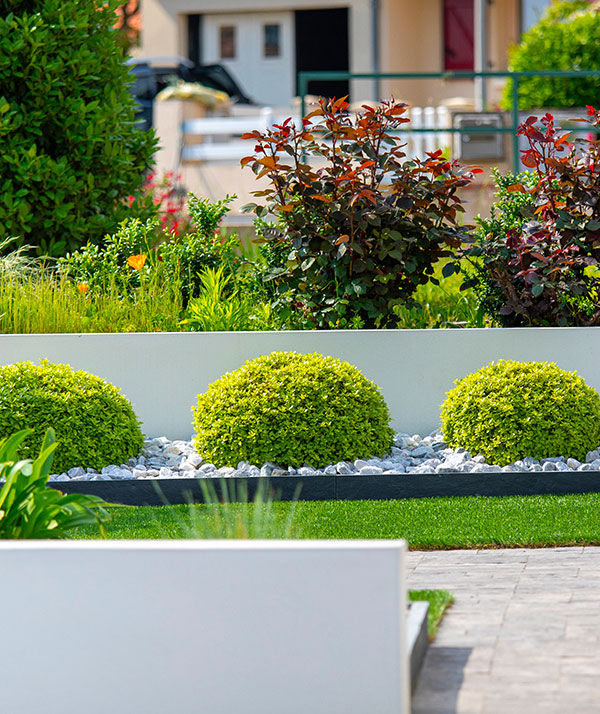 Entretien de jardin à Paris 8