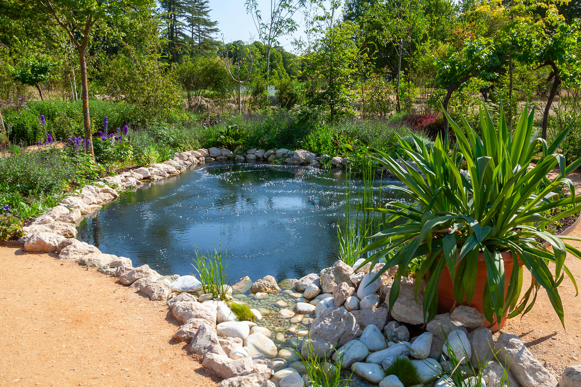 Paris Paysage - paysagiste, aménagement de jardin, création de terrasse, contrat hôtellerie, contrat restauration à Paris