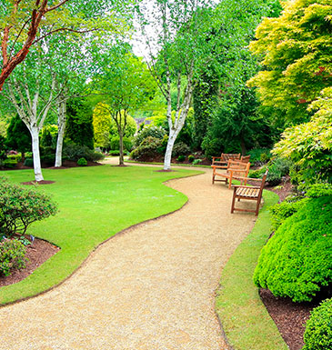 Paris Paysage - Contrat d’entretien hôtellerie et restauration à Paris